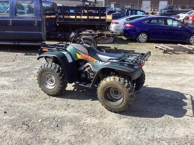 Arctic Cat 454 ATV-uri