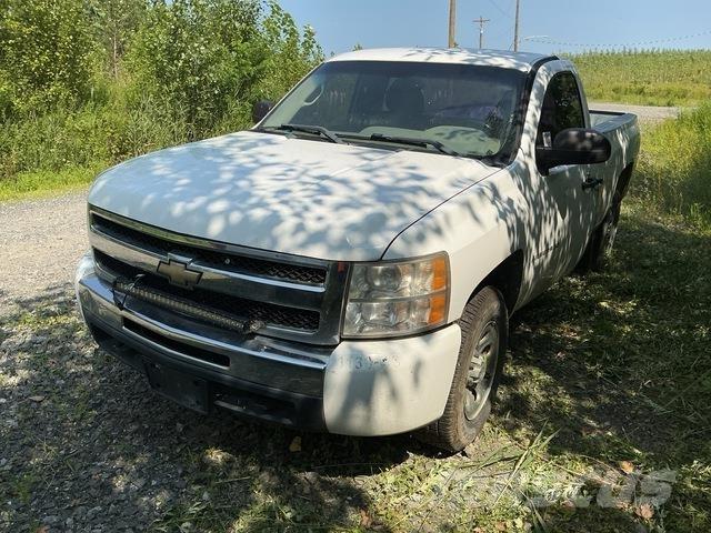 Chevrolet 1500 Pick up/Platou
