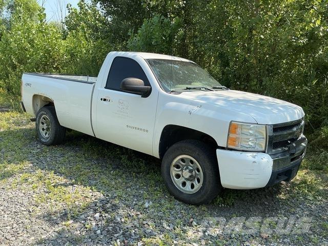 Chevrolet 1500 Pick up/Platou