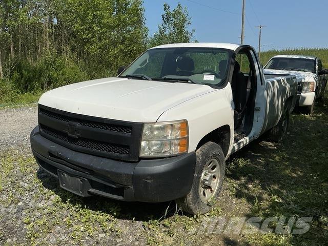 Chevrolet 1500 Pick up/Platou