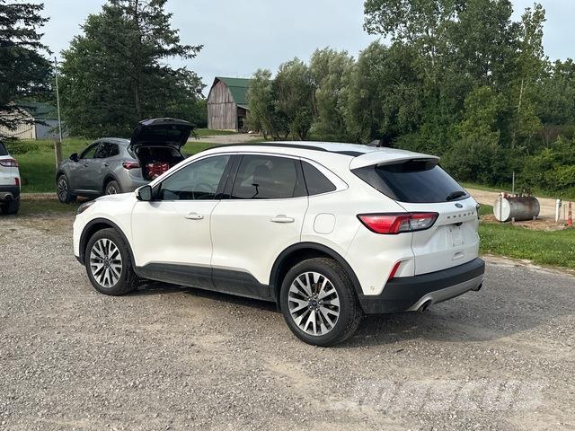 Ford Escape Masini