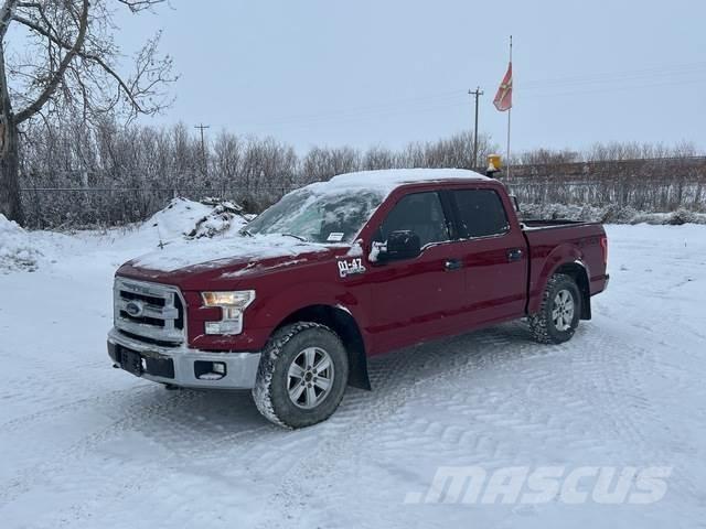 Ford F-150 Altele