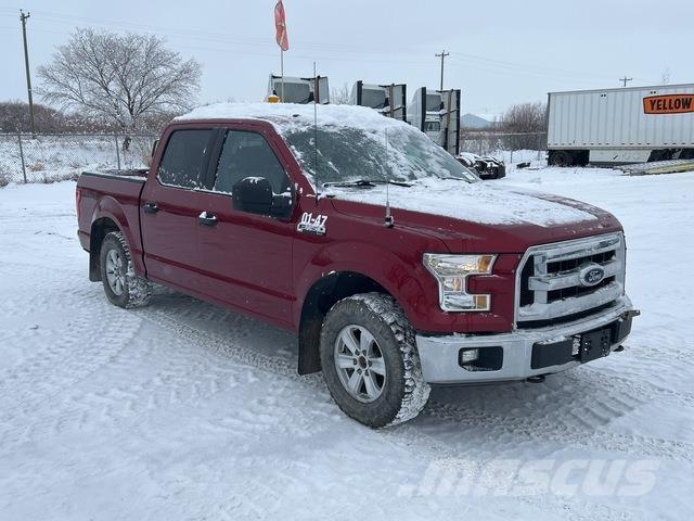 Ford F-150 Altele