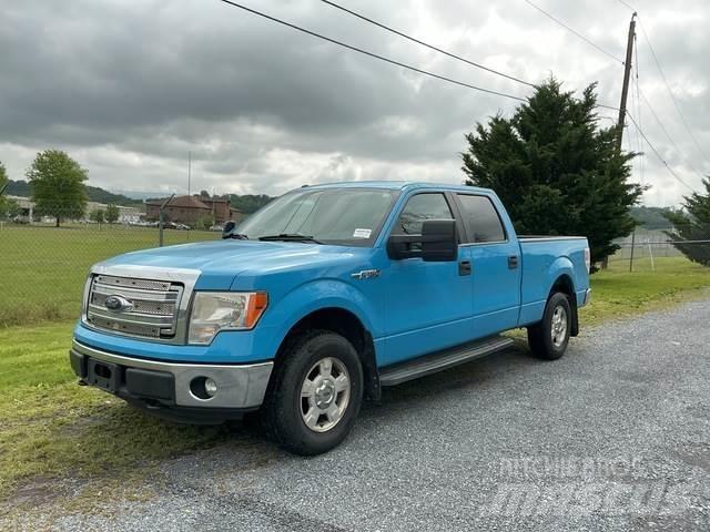 Ford F-150 Altele