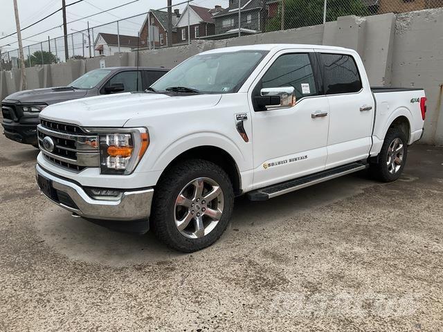 Ford F-150 Altele
