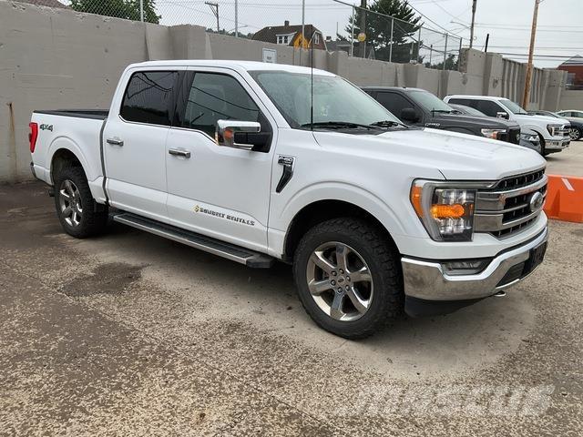 Ford F-150 Altele