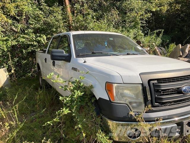 Ford F-150 Pick up/Platou