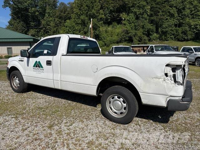 Ford F-150 Pick up/Platou