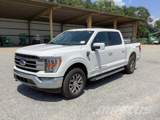 Ford F-150 Altele