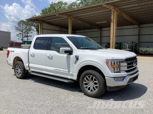 Ford F-150 Altele