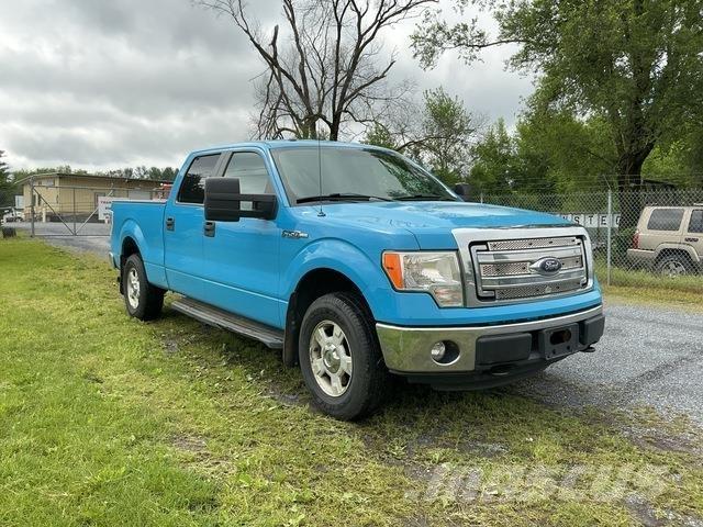 Ford F-150 Pick up/Platou