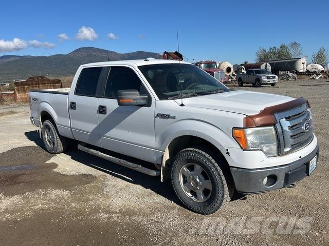 Ford F-150 Pick up/Platou