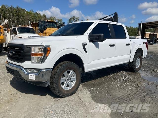 Ford F-150 Pick up/Platou