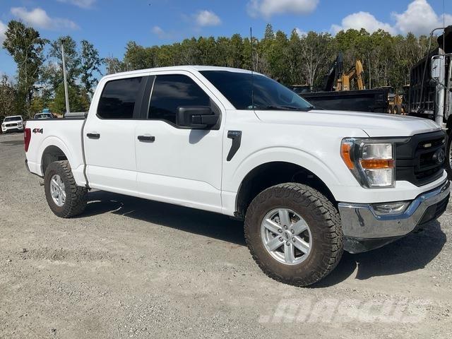 Ford F-150 Pick up/Platou