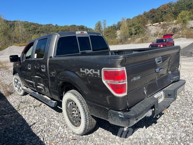 Ford F-150 Pick up/Platou