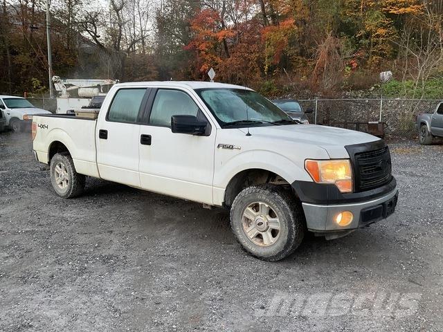Ford F-150 Pick up/Platou