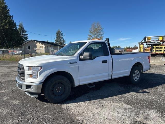 Ford F-150 Pick up/Platou