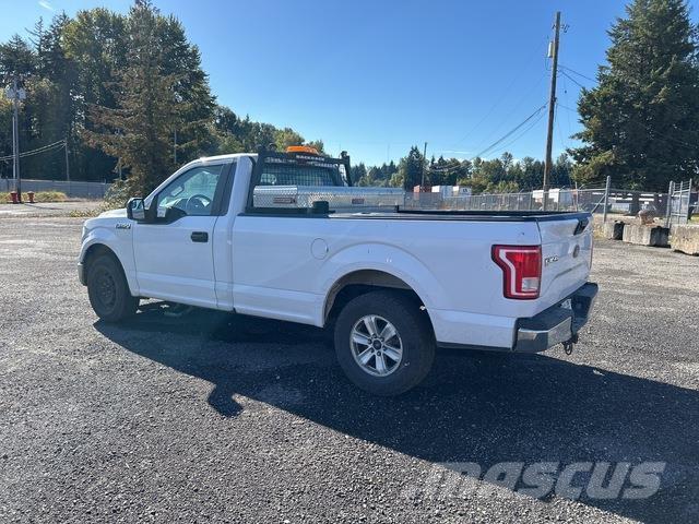 Ford F-150 Pick up/Platou