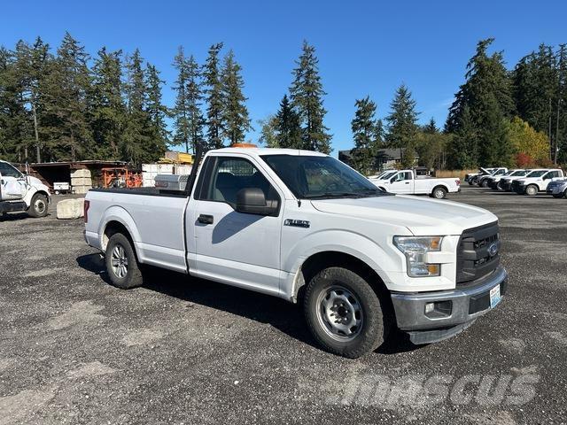 Ford F-150 Pick up/Platou