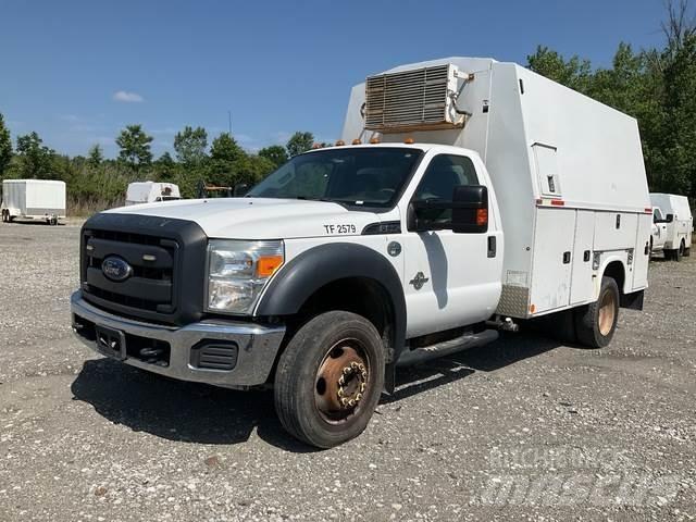 Ford F-550 Pick up/Platou