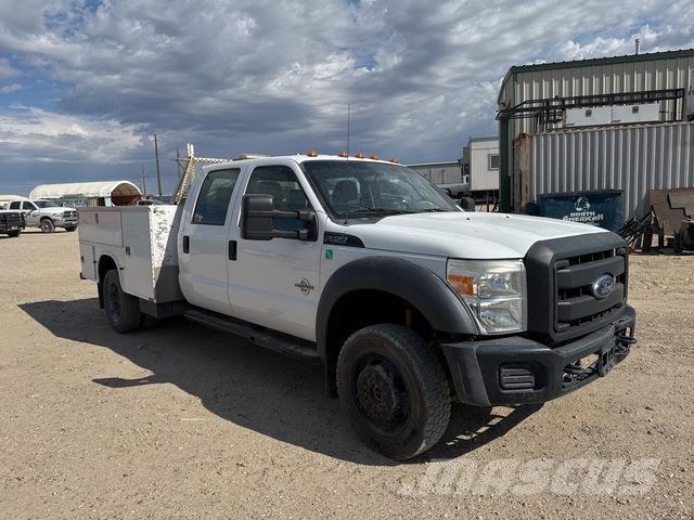 Ford F-550 Pick up/Platou