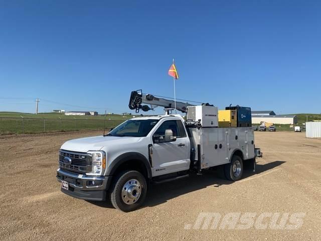Ford F-600 Municipal/vehicul cu uz general