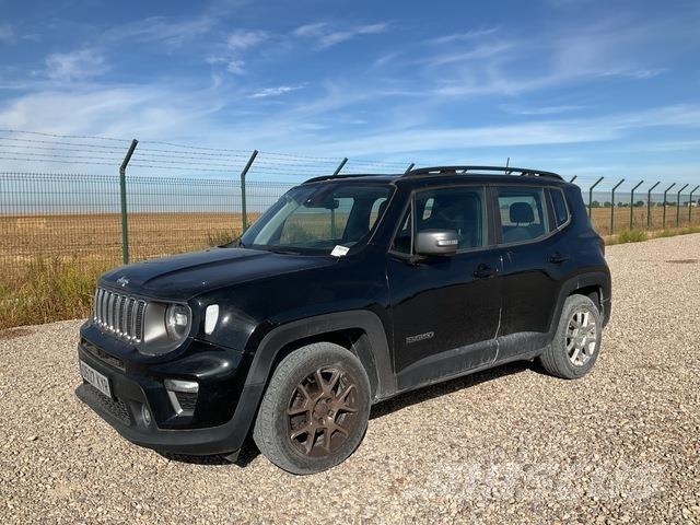 Jeep Renegade Masini