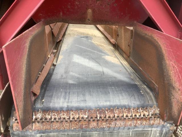 Kolberg  Cernuitoare