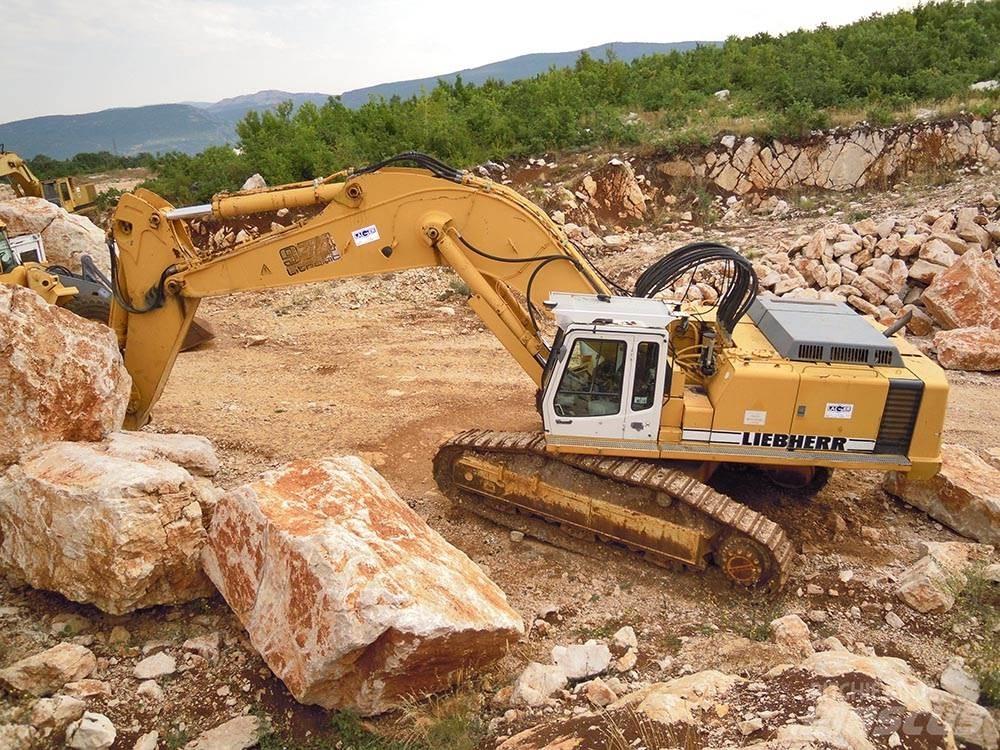 Liebherr R974BHD Excavatoare pe șenile

