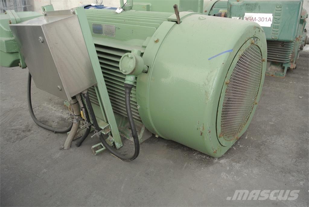 Siemens CGZZ Motoare industriale