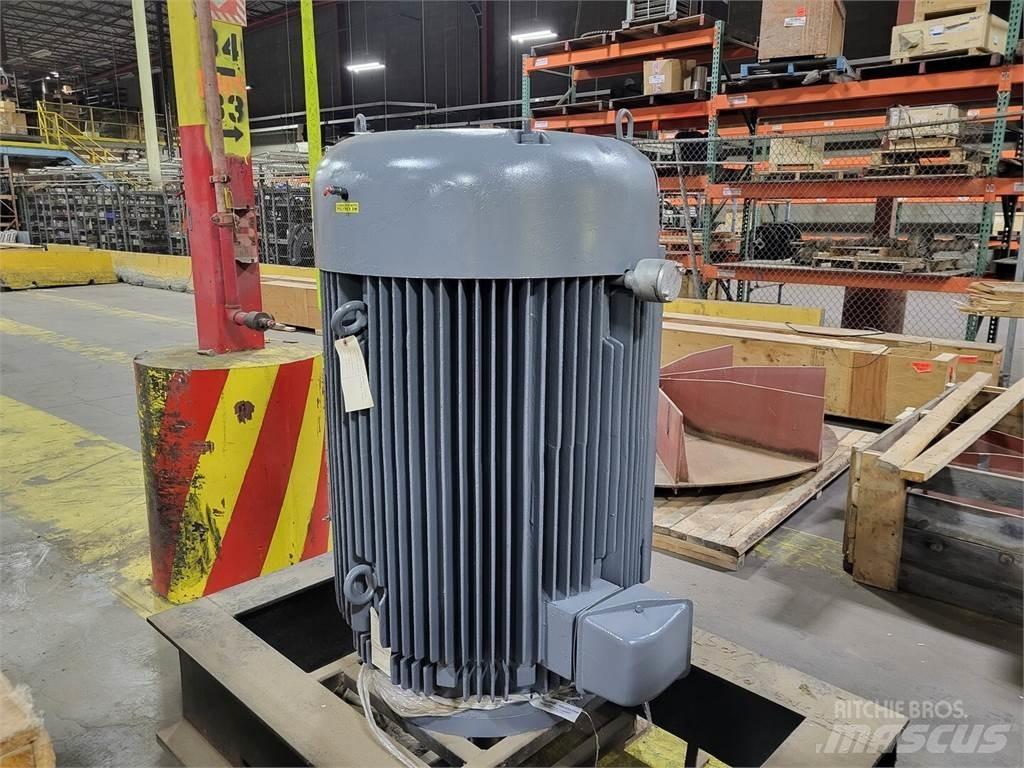Westinghouse  Motoare industriale