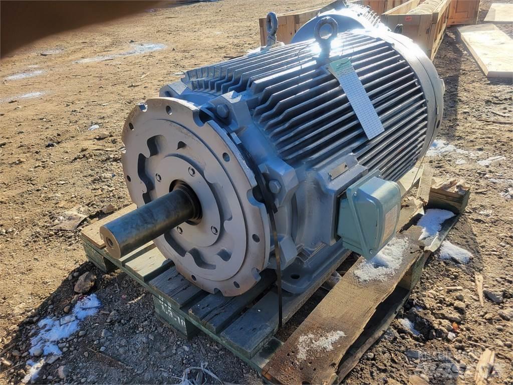 Westinghouse  Motoare industriale