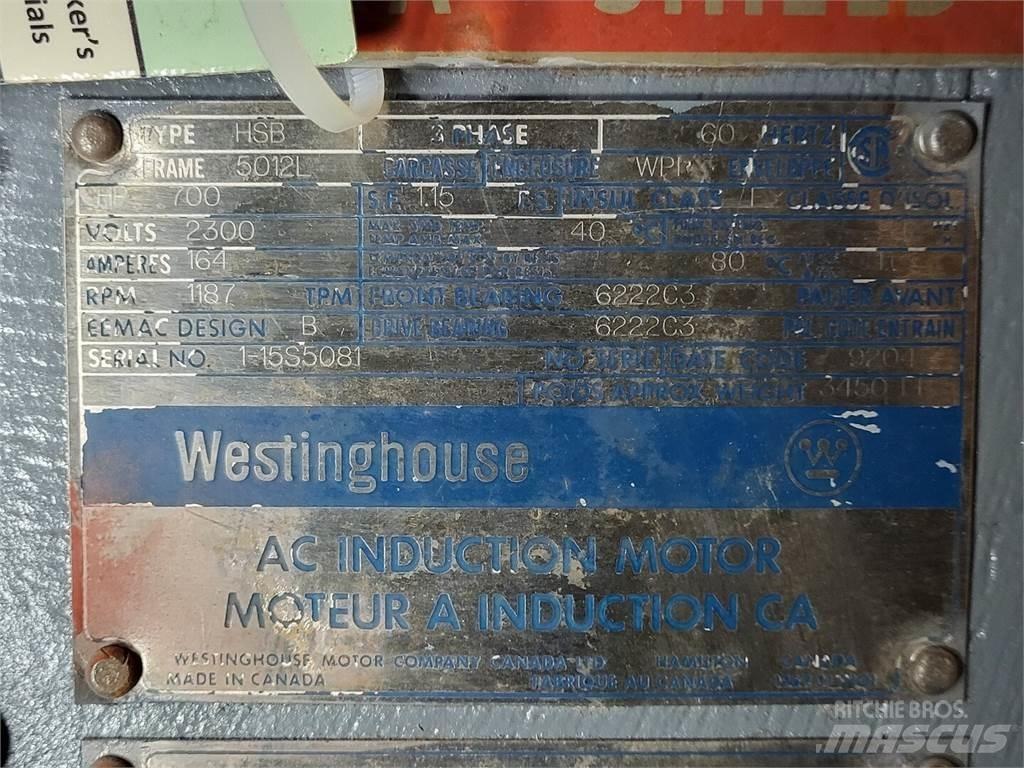 Westinghouse  Motoare industriale