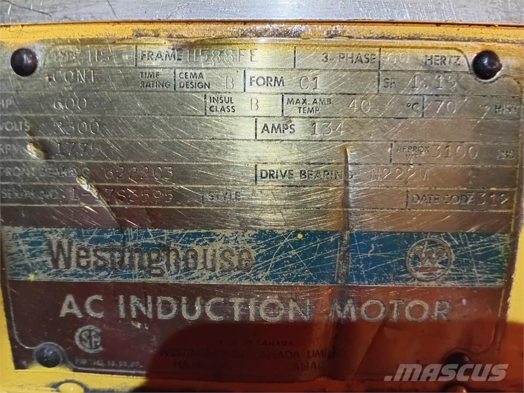 Westinghouse  Motoare industriale