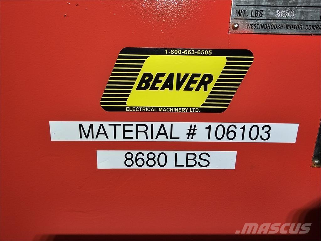 Westinghouse  Motoare industriale