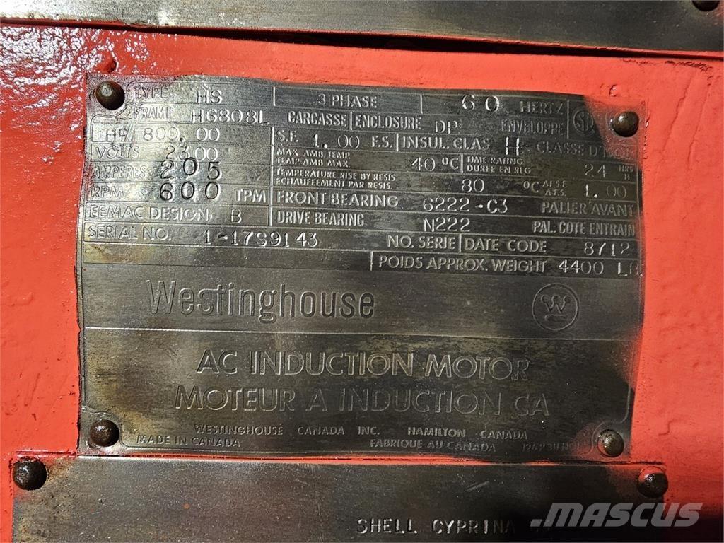 Westinghouse HS Motoare industriale