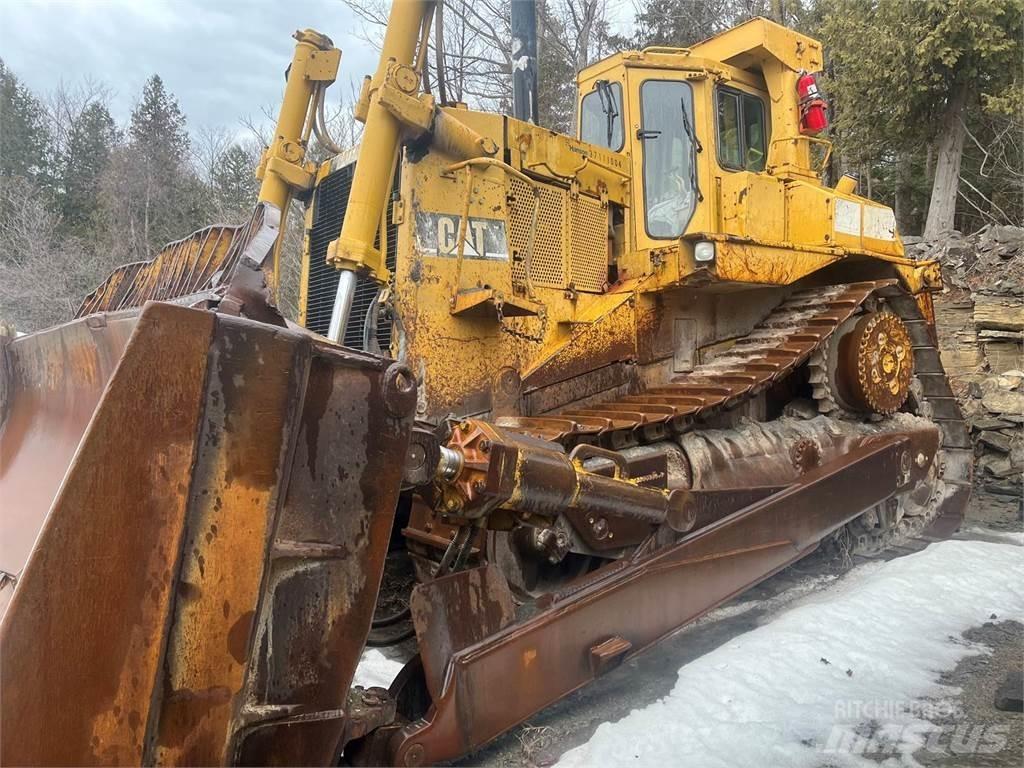CAT D10N Buldozere pe senile