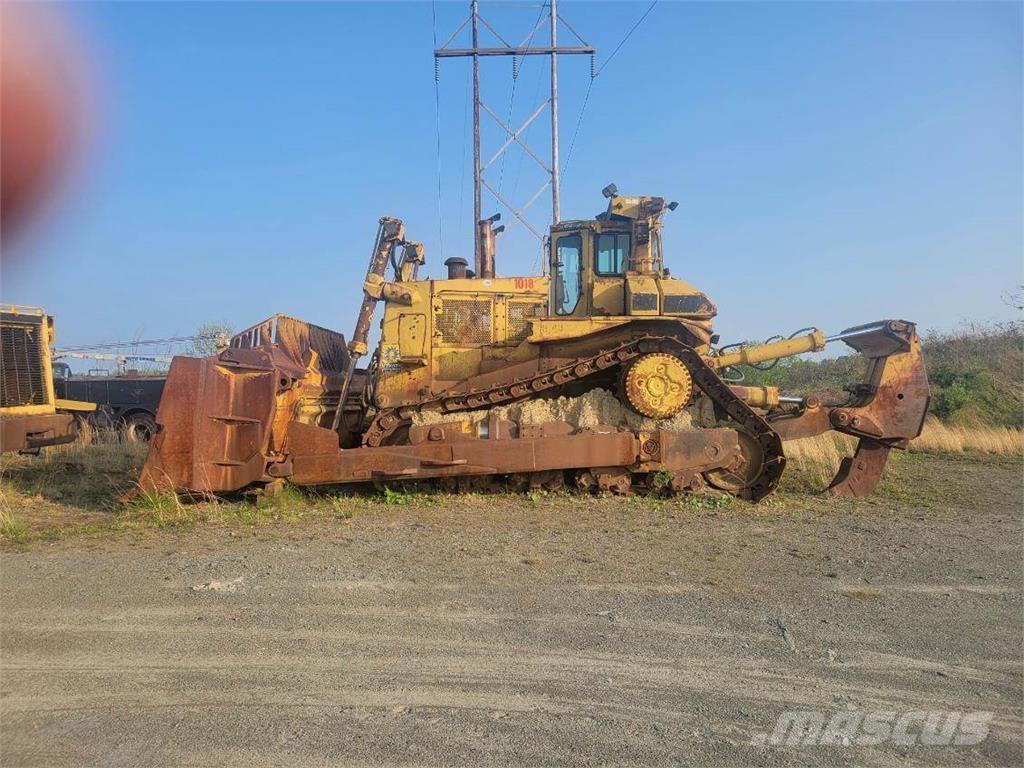 CAT D11N Buldozere pe senile