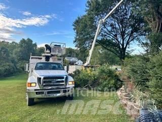 Ford F-750 Camioane cu macara
