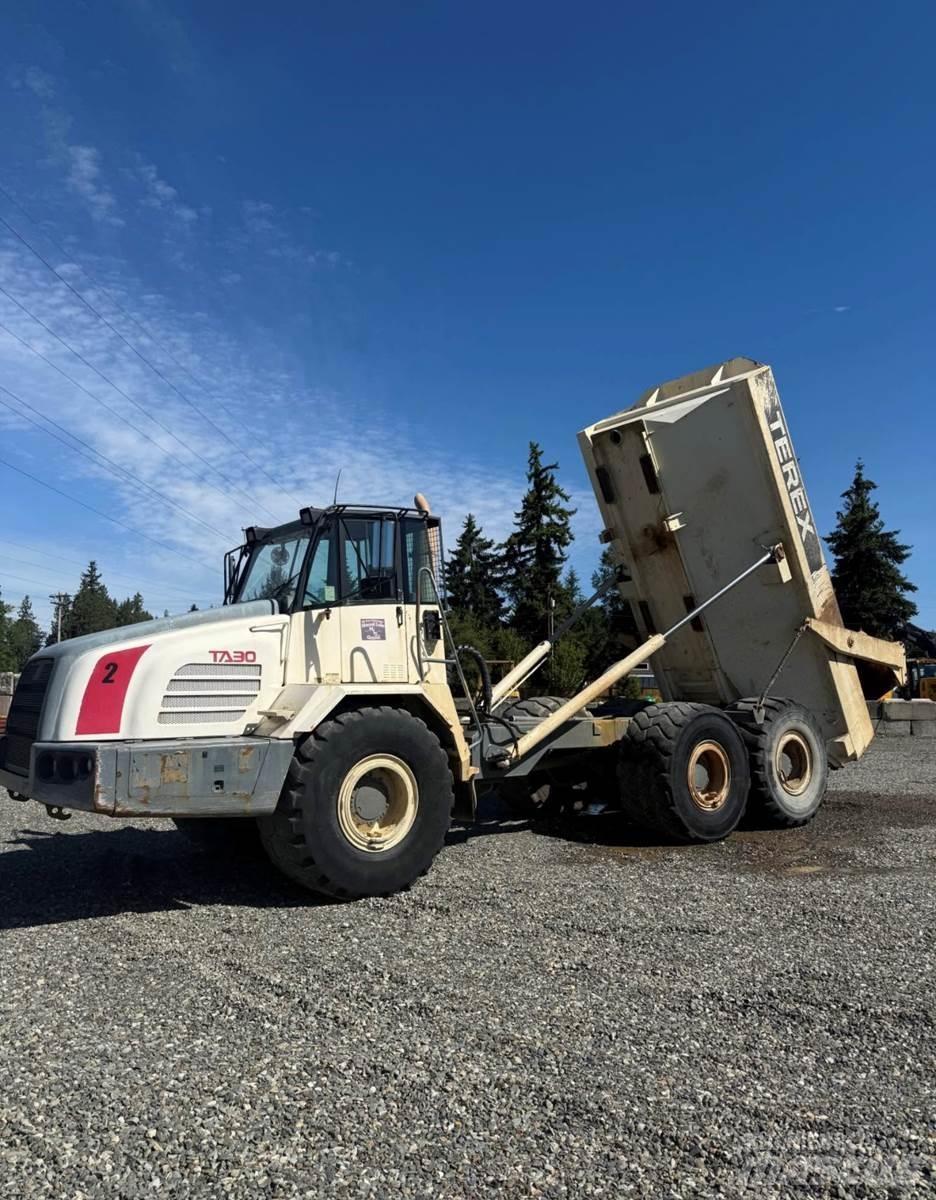 Terex TA30 Utilitara