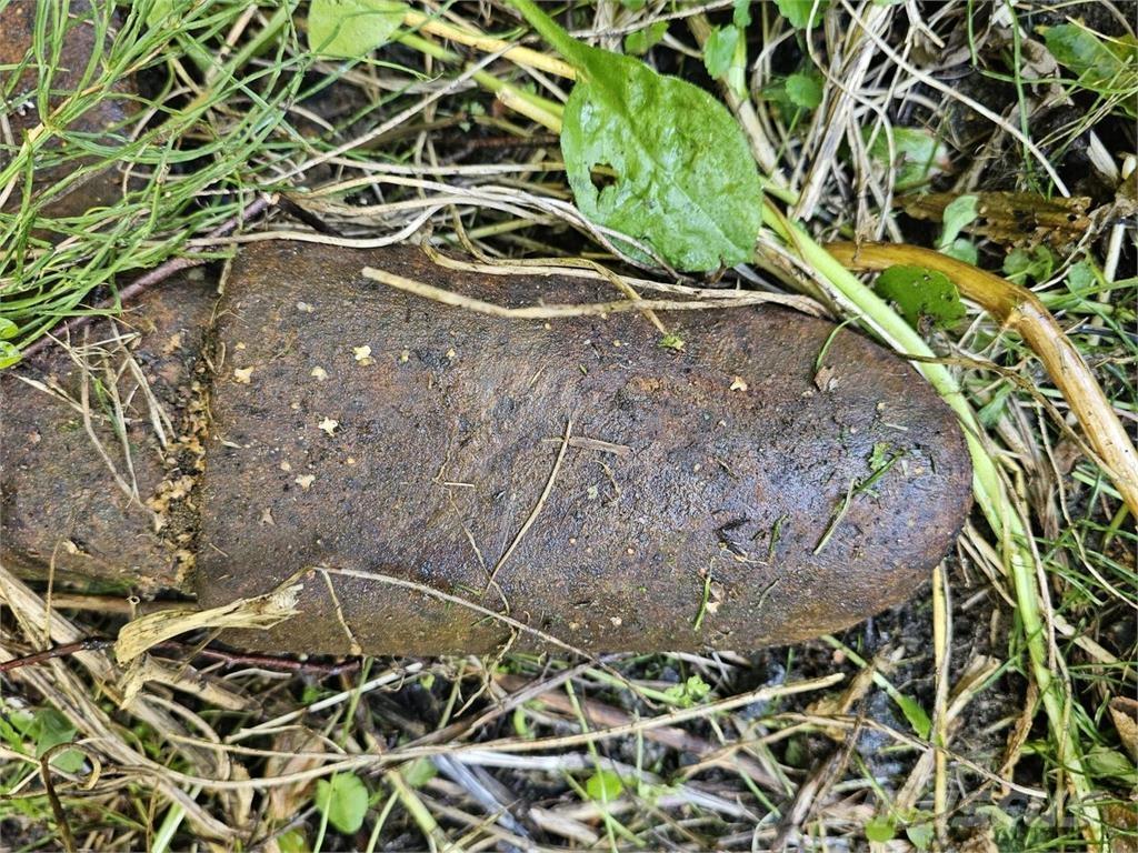  Kynsikuokkakauha Pistoane