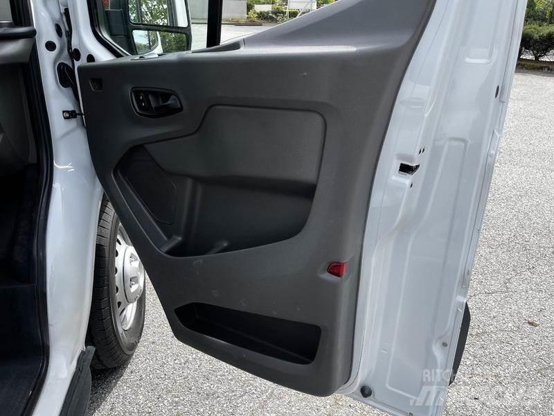 Ford Transit Masini