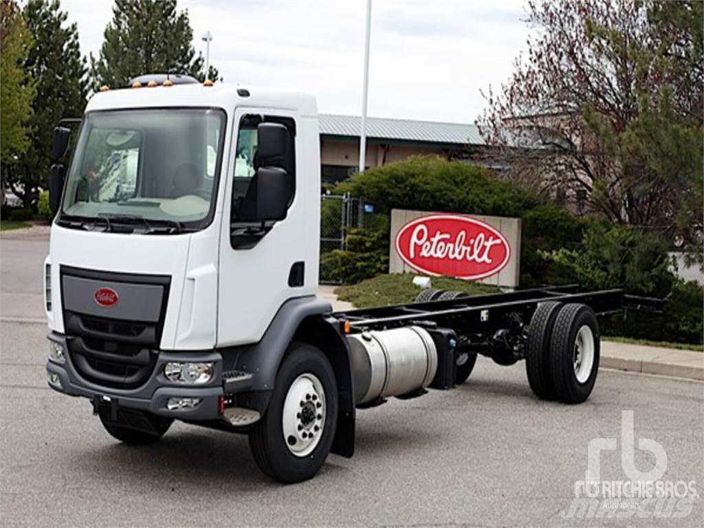 Peterbilt 220 Camion cabina sasiu