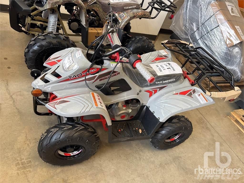  TAO BOULDER ATV-uri