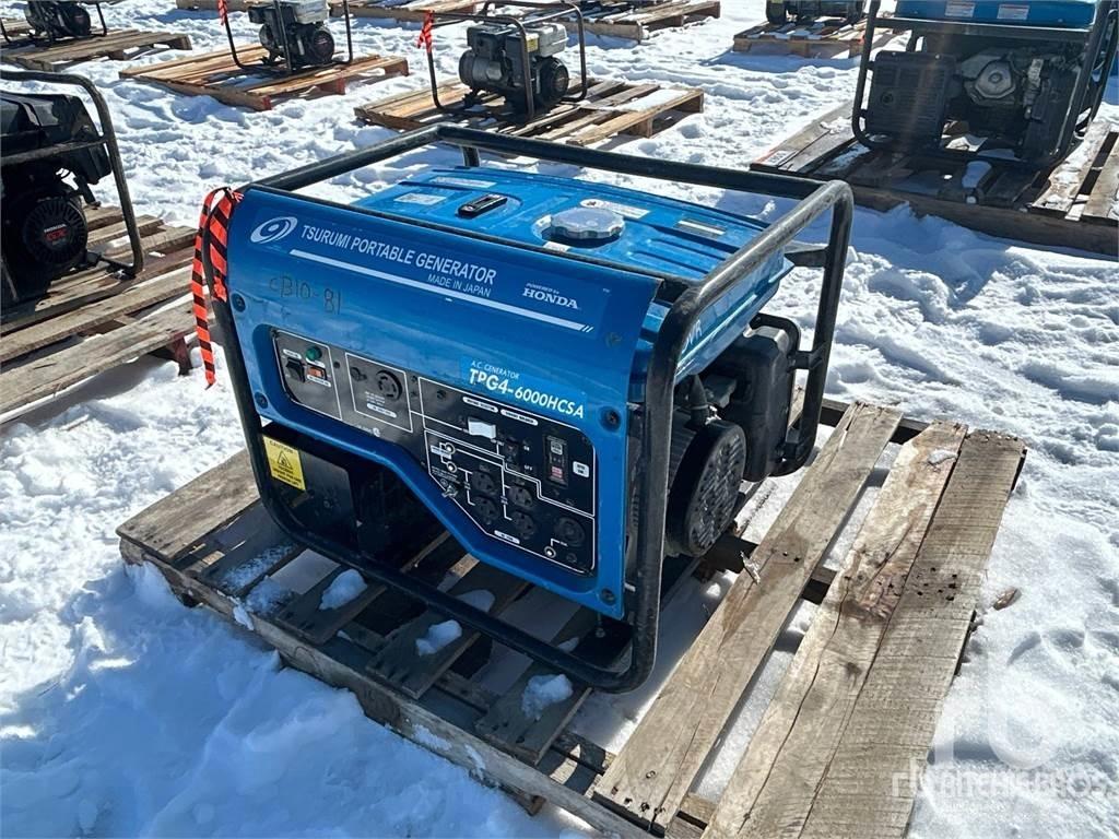 Tsurumi TPG4 Generatoare Diesel