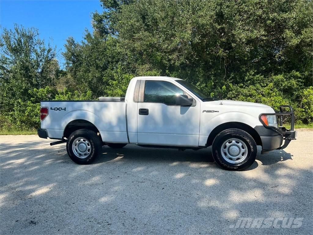 Ford F-150 Pick up/Platou