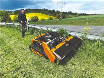As-Motor AS 1000 Ovis RC
