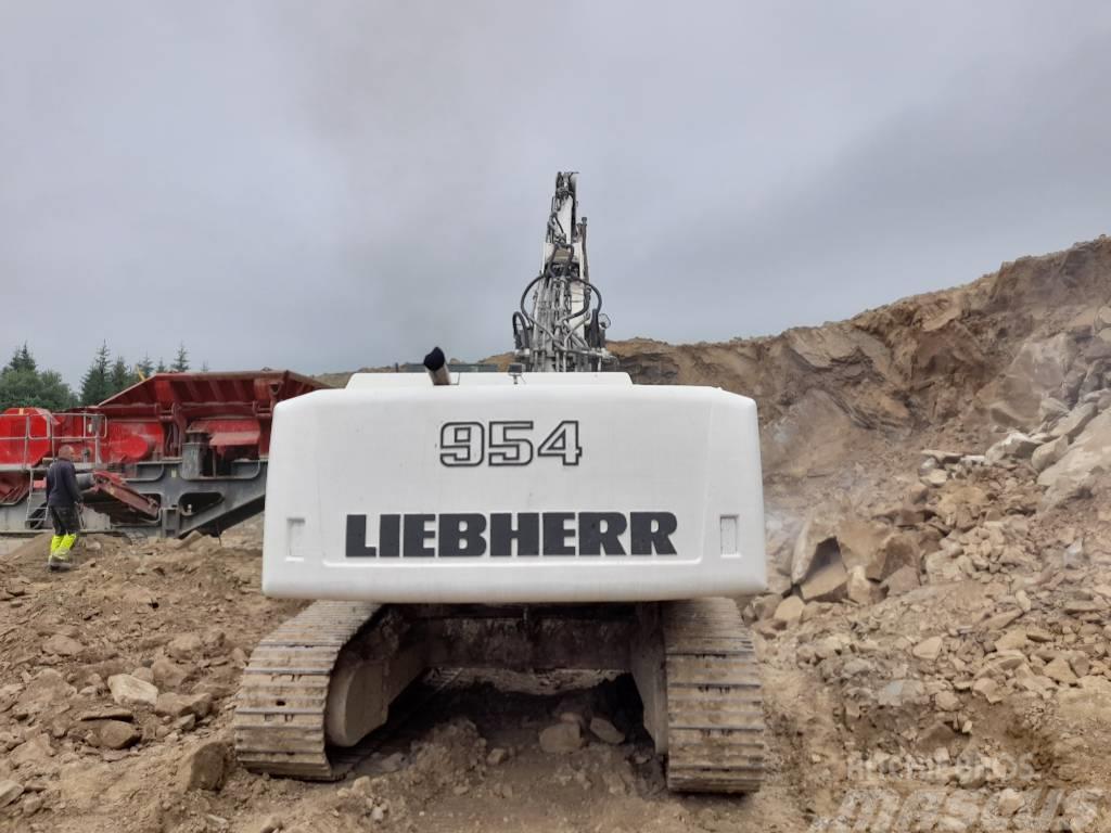 Liebherr R 954 C HD Excavatoare pe senile