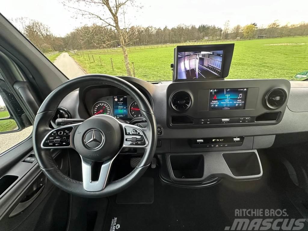 Mercedes-Benz Sprinter AMG 2-paards paardenvrachtwagen B-rijbewi Camioane transport animale