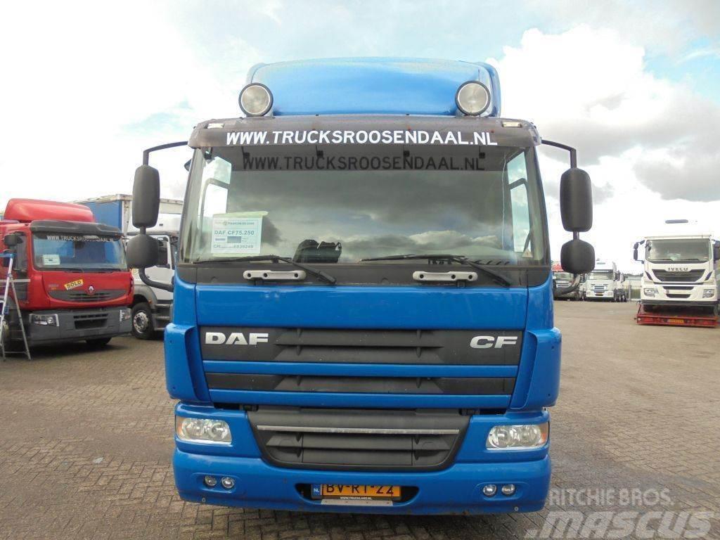 DAF CF 75.250 + Euro 5 Camion cabina sasiu